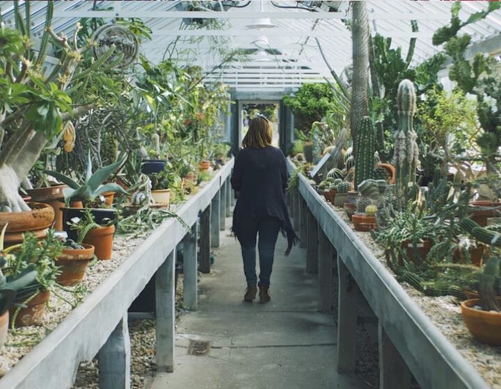 Green House