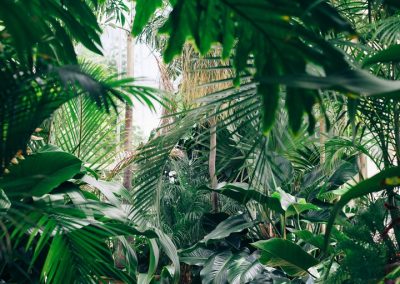 Greenery