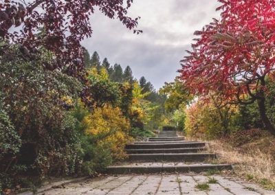 Garden Pathway